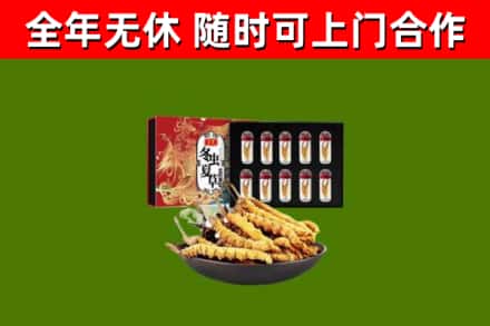 木垒县回收冬虫夏草价格
