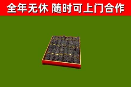 木垒县回收海参